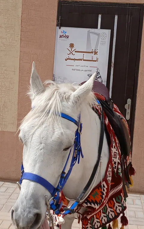 مدارس بواكير الأهلية بنات ابتدائي متوسط وثانوي — photo 4