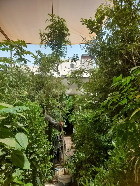 مركز خطوة نجاح الأطفال - Riyadh facility photo