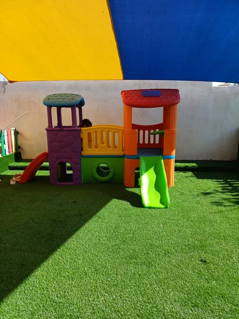 حضانة هايدي — photo 6