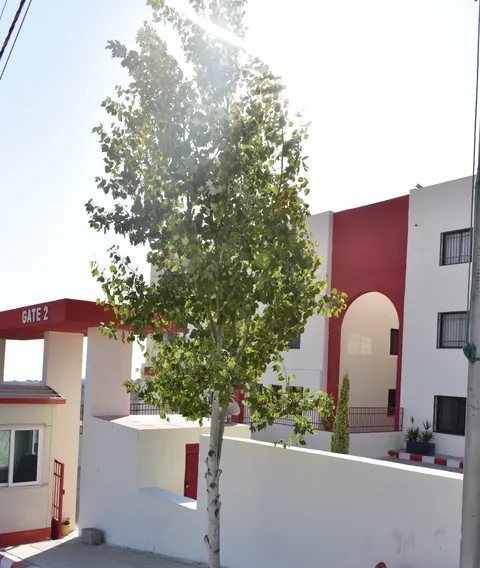AMS - عمان — photo 5