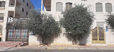 حضانة مون بلوسومز — photo 2