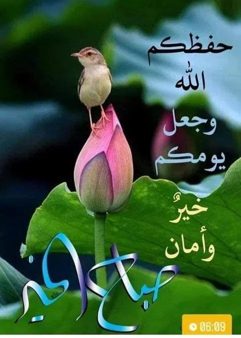 روضة سمايلي فيس، عمان — photo 3