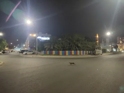 كيدز أكاديمي — photo 3