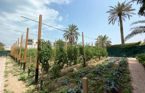 روضة ليب (Leap) في مدينة الكويت — photo 6