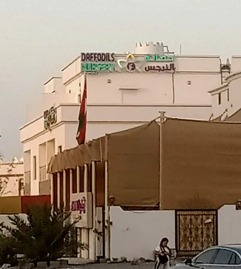 حضانة دافوديلز حضانة النرجس — photo 3