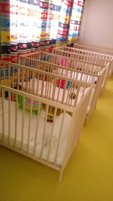 The Peak Nursery — photo 5