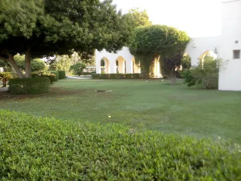 The Sultan's School — photo 3