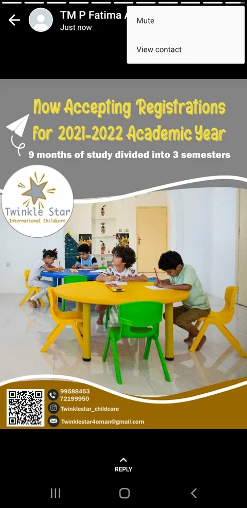 TwinkleStar International ChildCare — photo 6
