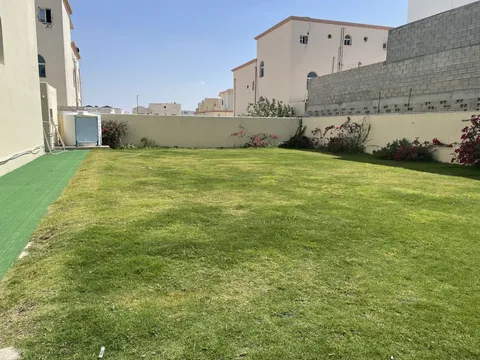 روضة النيل الأزرق الدوحة — photo 3