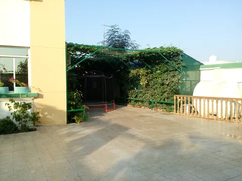 أكاديمية مايند ماستر — photo 4