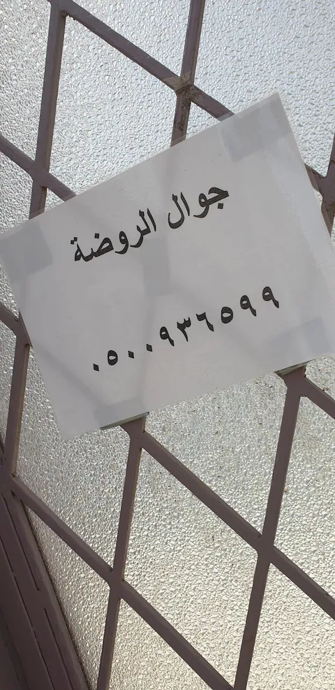 روضة 45 بجدة — photo 4