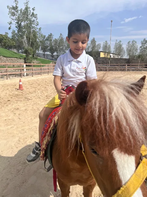 جونيور سكيلز — photo 6