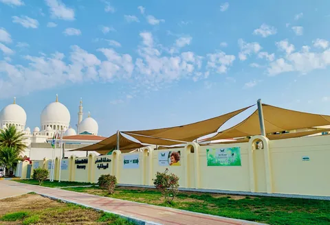حضانة فالكون البريطانية — photo 5