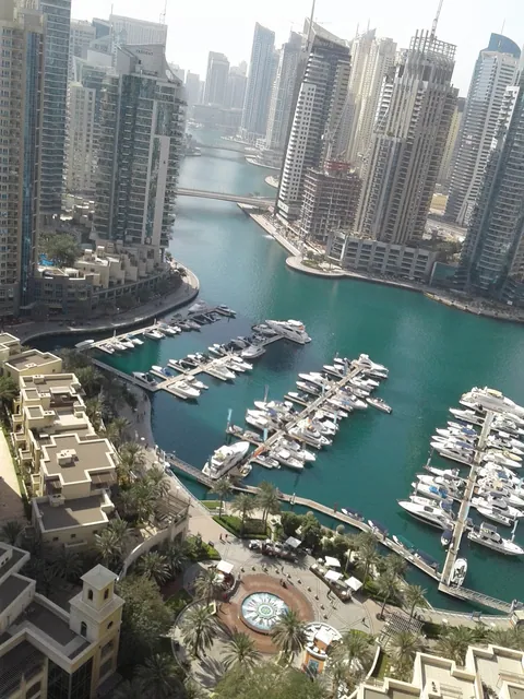 Dubai British School Jumeirah Park Foundation — photo 4