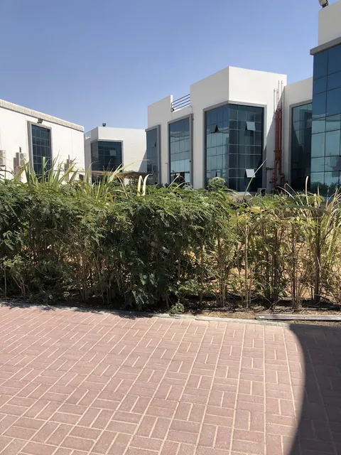 مدرسة هابيتات التلة، عجمان — photo 5