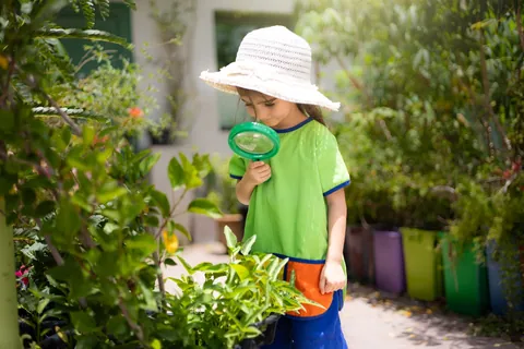 أكاديمية الصغار, دبي — photo 2