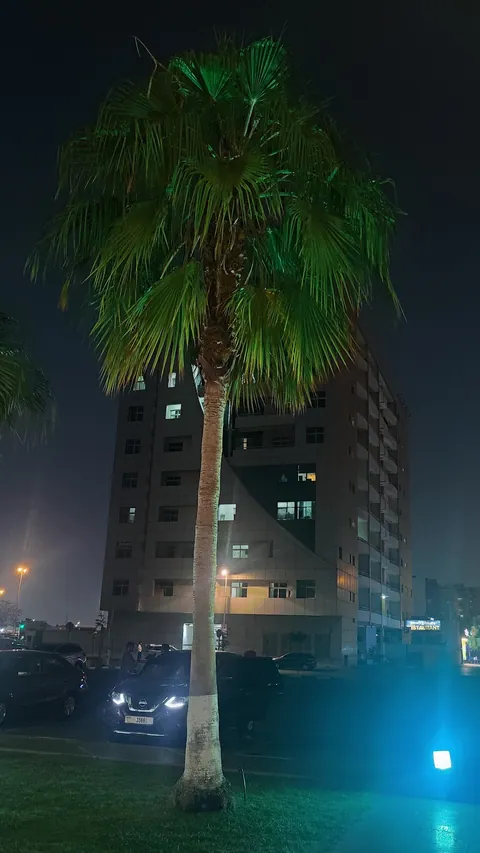 Muhaisnah 4 — photo 5