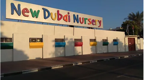 New Dubai Nursery Early Learning Center — photo 2