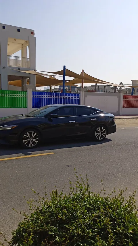 مركز رافلز للطفولة المبكرة أم سقيم — photo 5