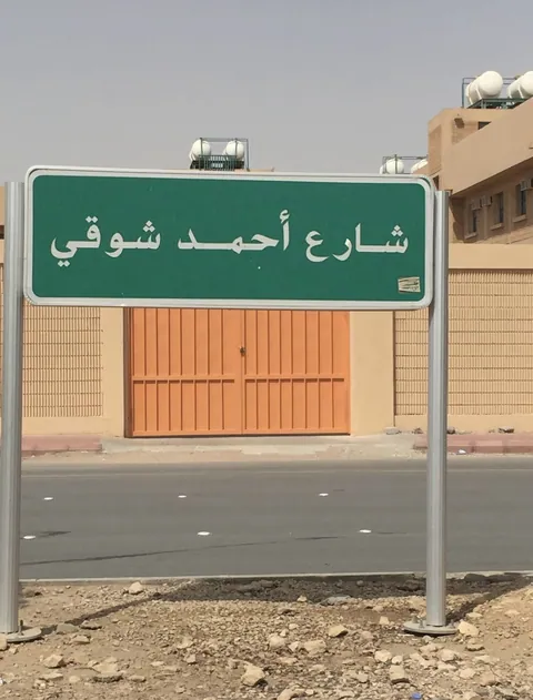 إدارة رياض الأطفال — photo 6