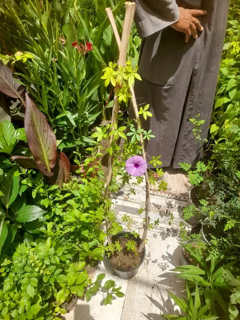 مركز الخطوة الناجحة للأطفال — photo 3