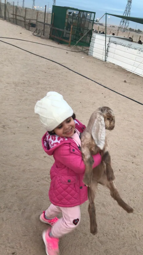 روضة الهجرة — photo 6