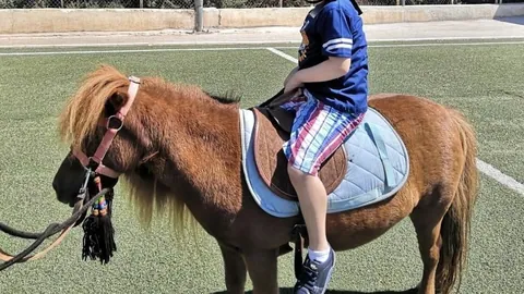 روضة الغابة الخضراء — photo 2
