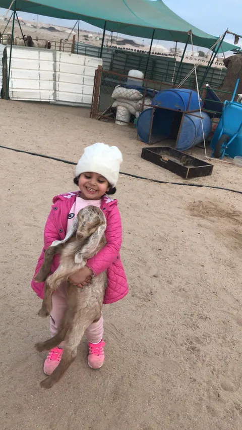 روضة الهجرة — photo 2
